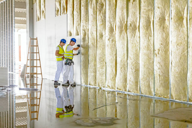 Best Commercial Insulation in Redland, MD